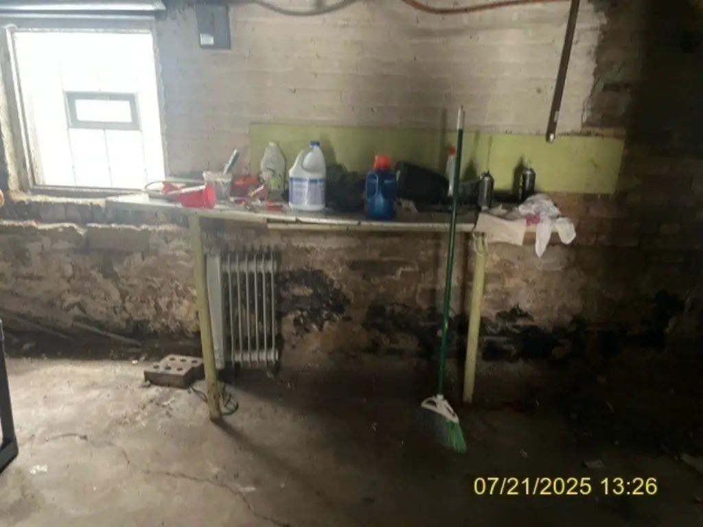 Picture 24