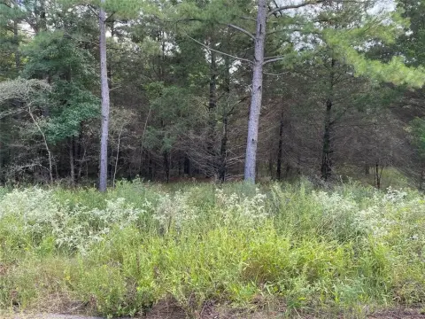 Residential Land in Lindale, Texas