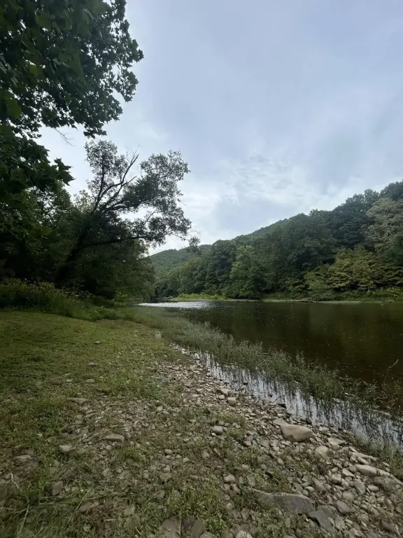 Picture 25