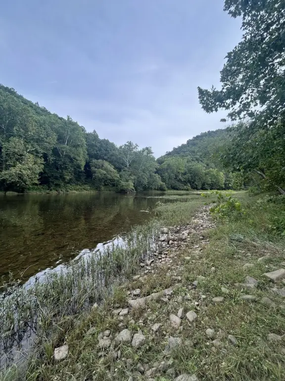 Picture 3