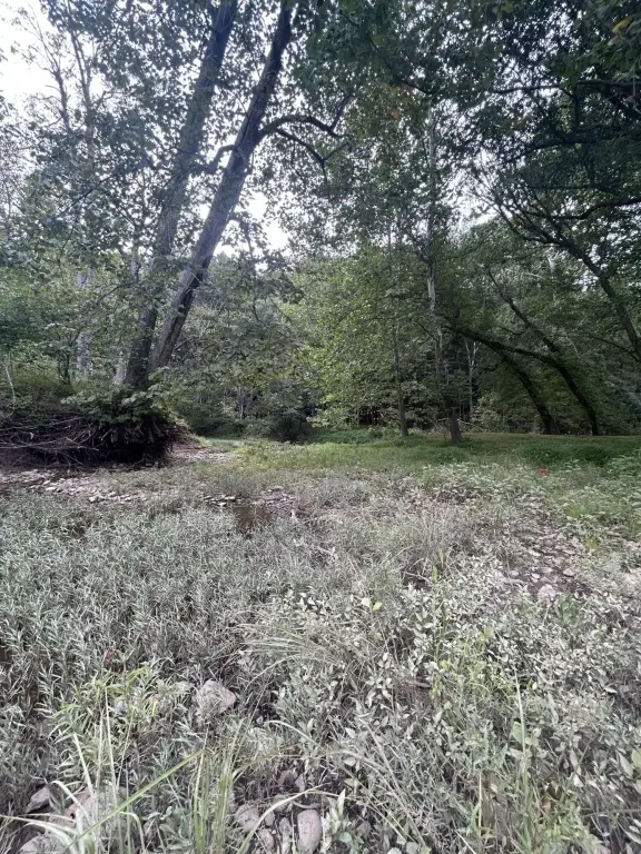 Picture 26