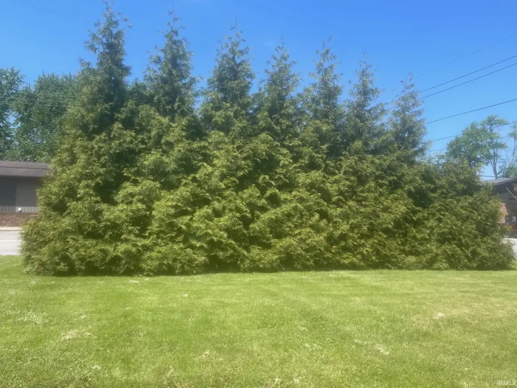 Picture 23