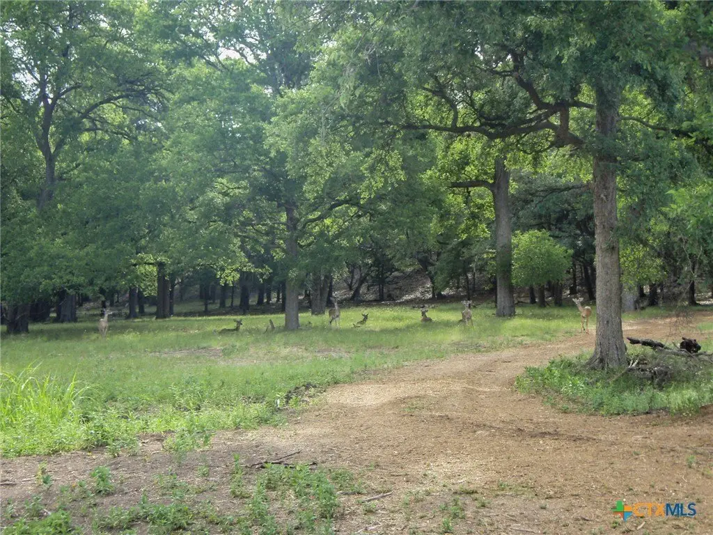 Picture 18