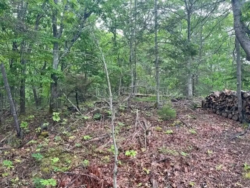 Picture 15