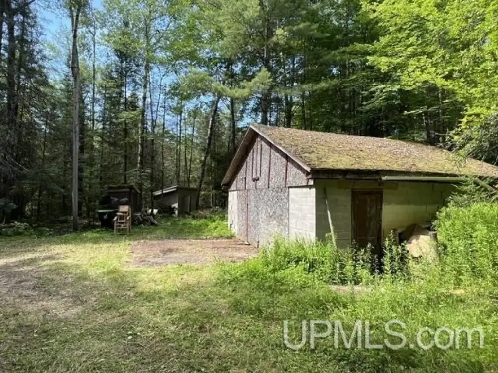 Picture 3