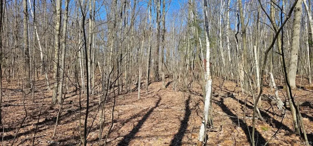 Picture 16
