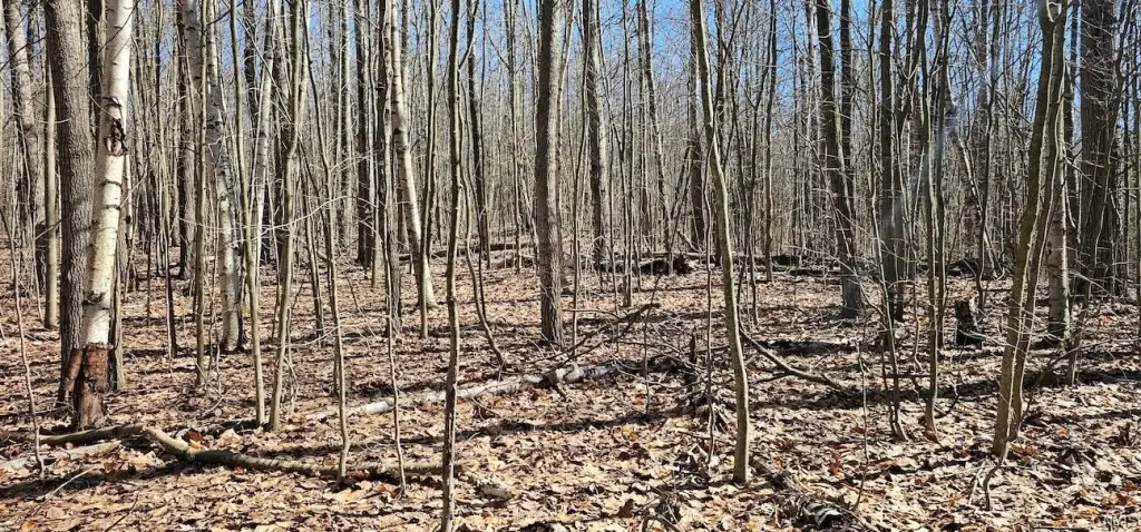 Picture 18