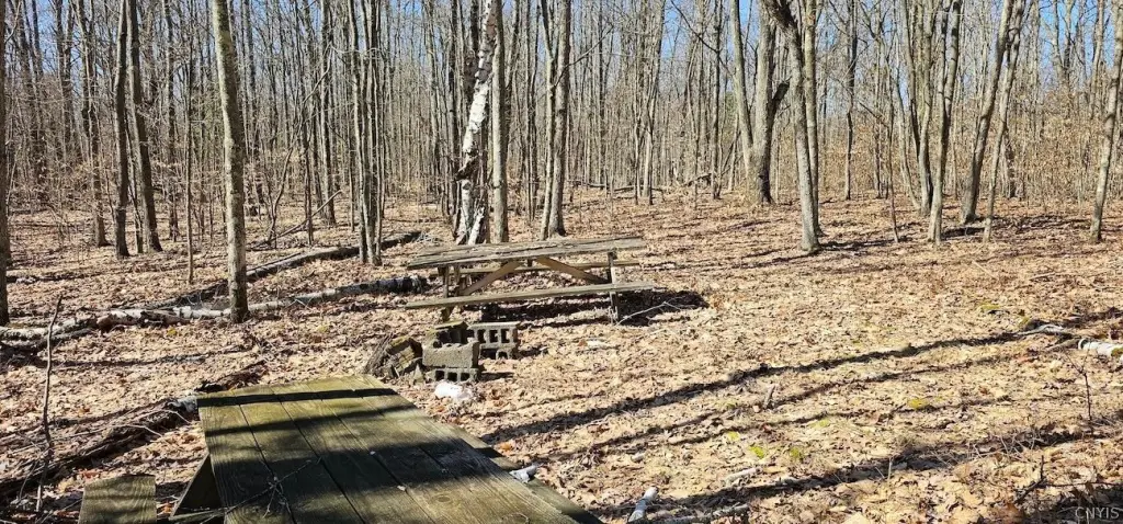 Picture 11