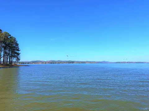 Residential Land in Cedar Bluff