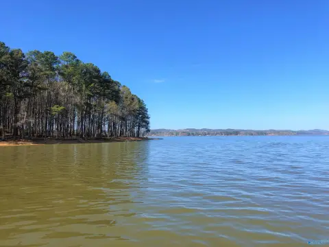 Land in Cedar Bluff, AL