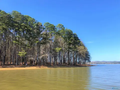 Land on Coosa River