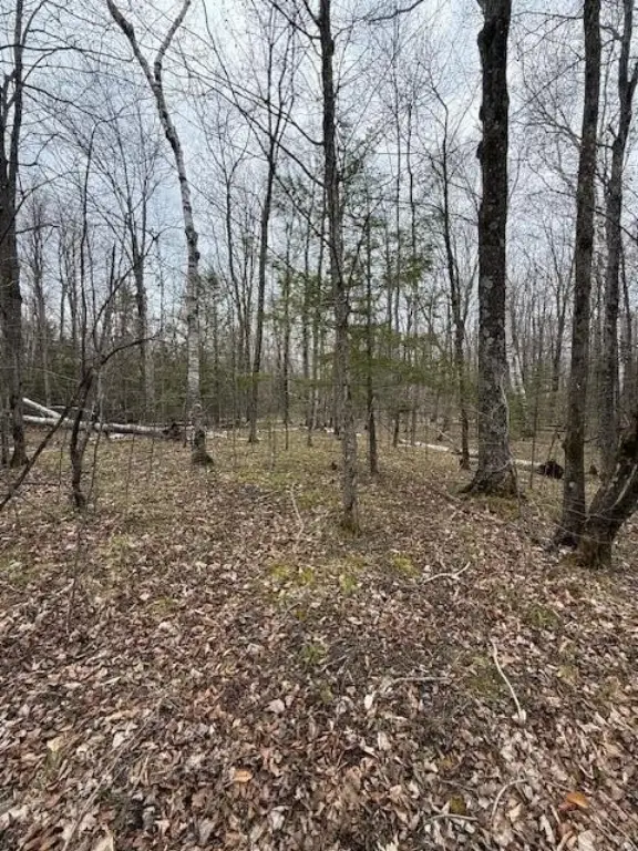 Picture 9