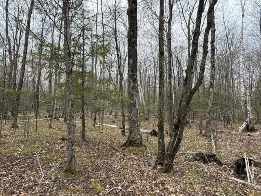 Picture 11