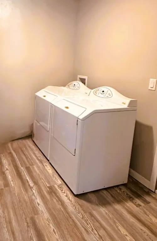 Picture 15