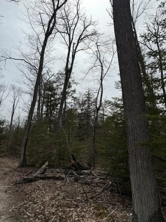 Picture 7