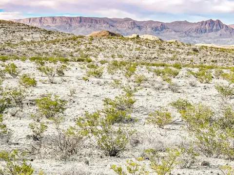 Terlingua Land with Mesa Views