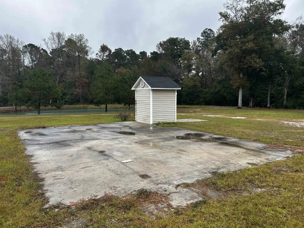 Picture 19