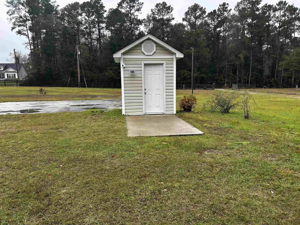 Picture 5
