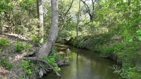 Lee County Ranch Land