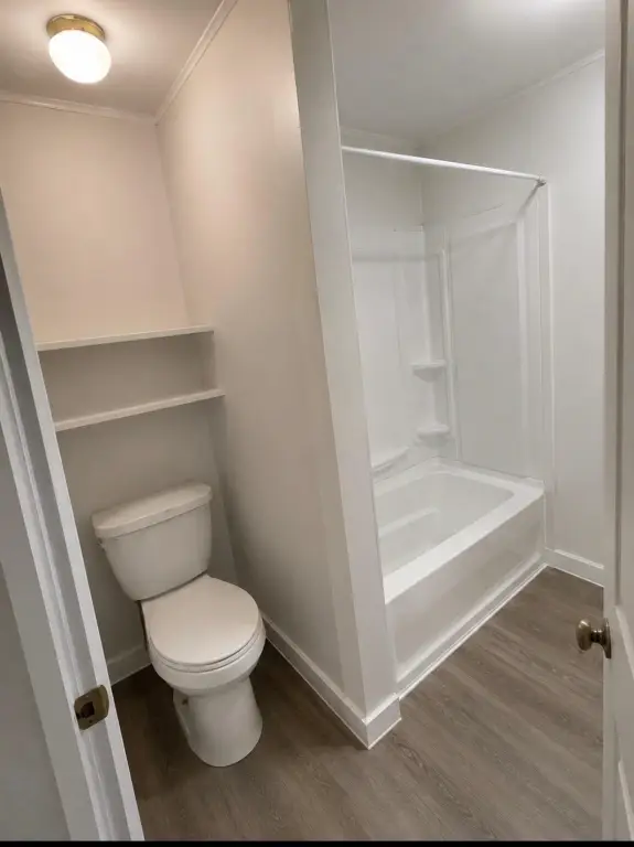 Picture 19
