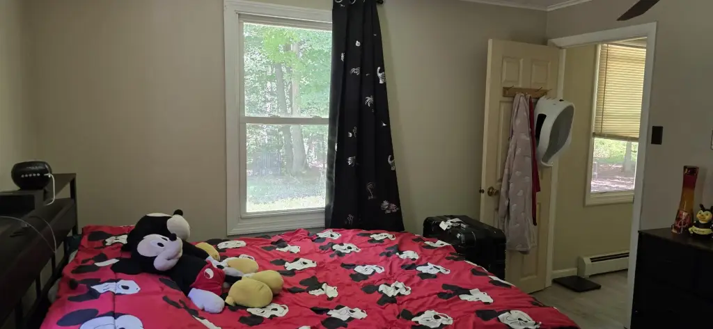 Picture 11