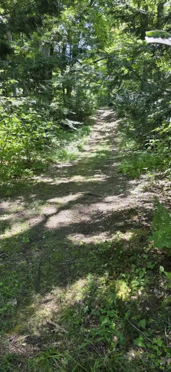 Picture 23