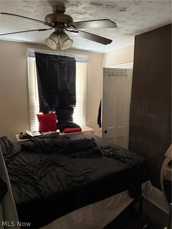 Picture 33