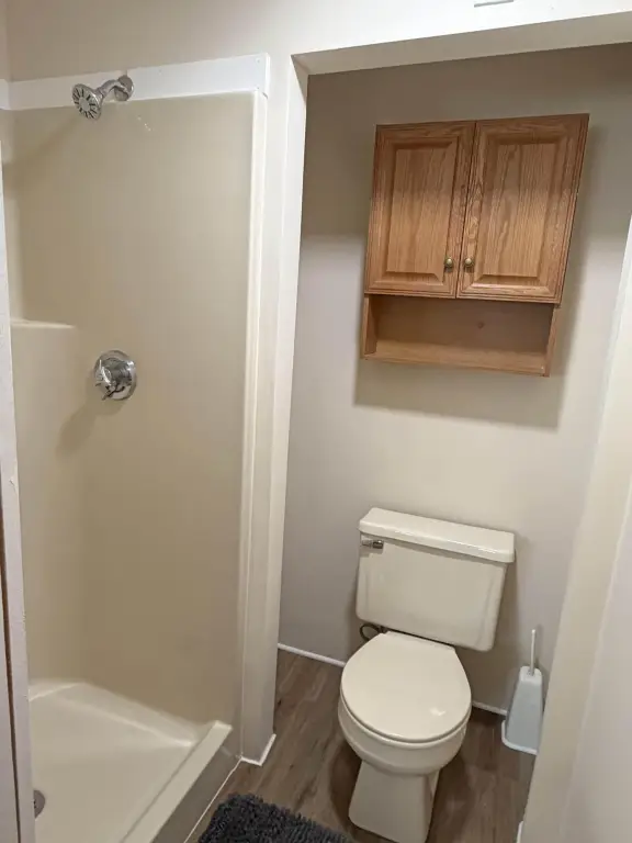 Picture 21
