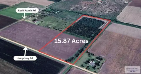 Raymondville Irrigated Farmland with Potential