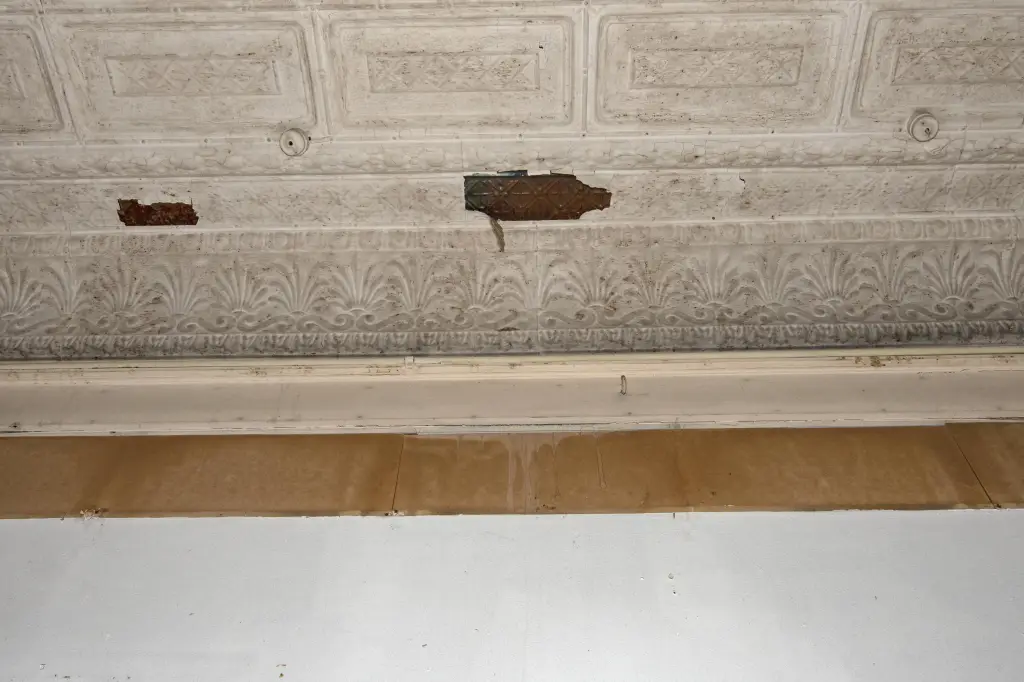 Picture 14
