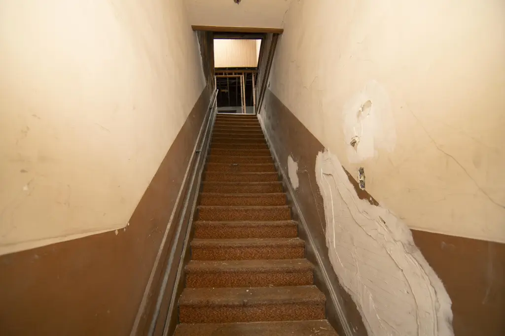 Picture 24