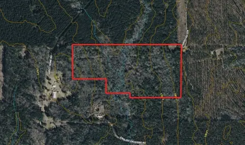35 Acres of Wooded Land