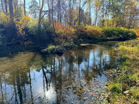 Scenic Land near Keshequa Creek