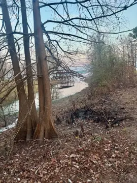 Partly Wooded Lakeside Lot