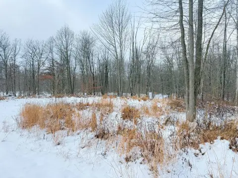 Mercer, PA Vacant Land