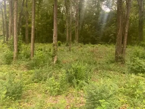 Waynesboro Commercial Property For Sale