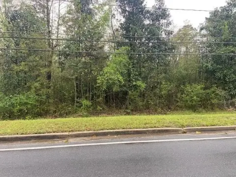 Undeveloped Land in Waynesboro, MS