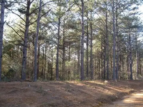 Wooded Lot in Family Neighborhood