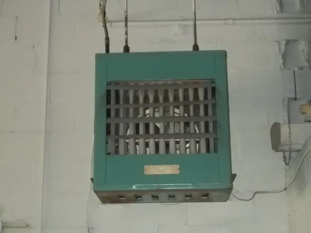 Picture 7