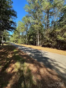 Wooded Lot in Chester, SC