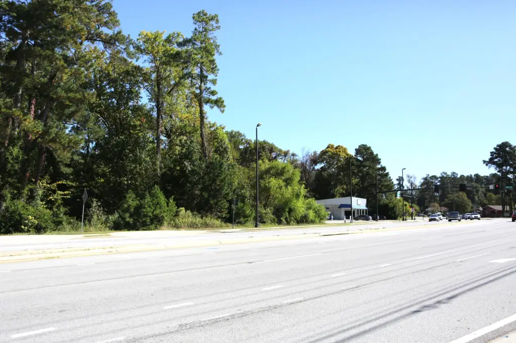 Picture 13