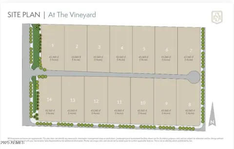 Queen Creek One-Acre Parcel