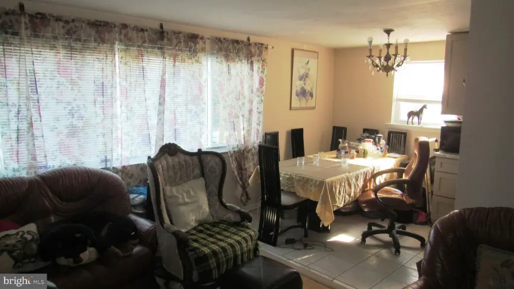 Picture 19