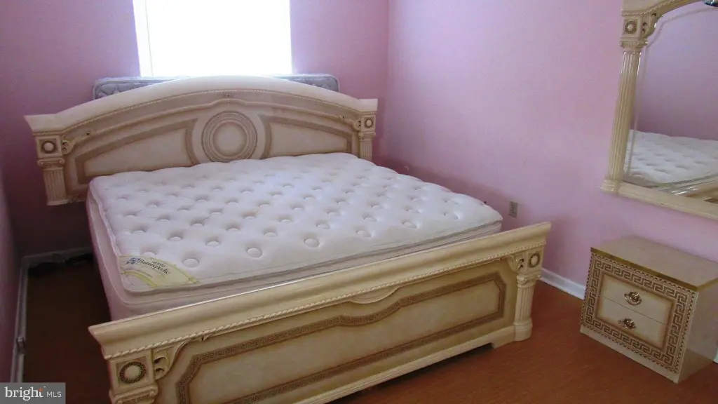 Picture 8