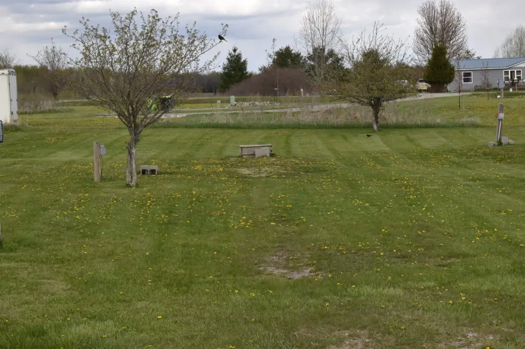 Picture 5