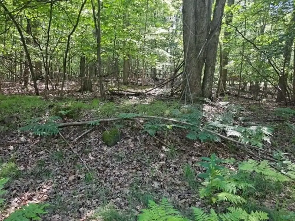 Picture 13