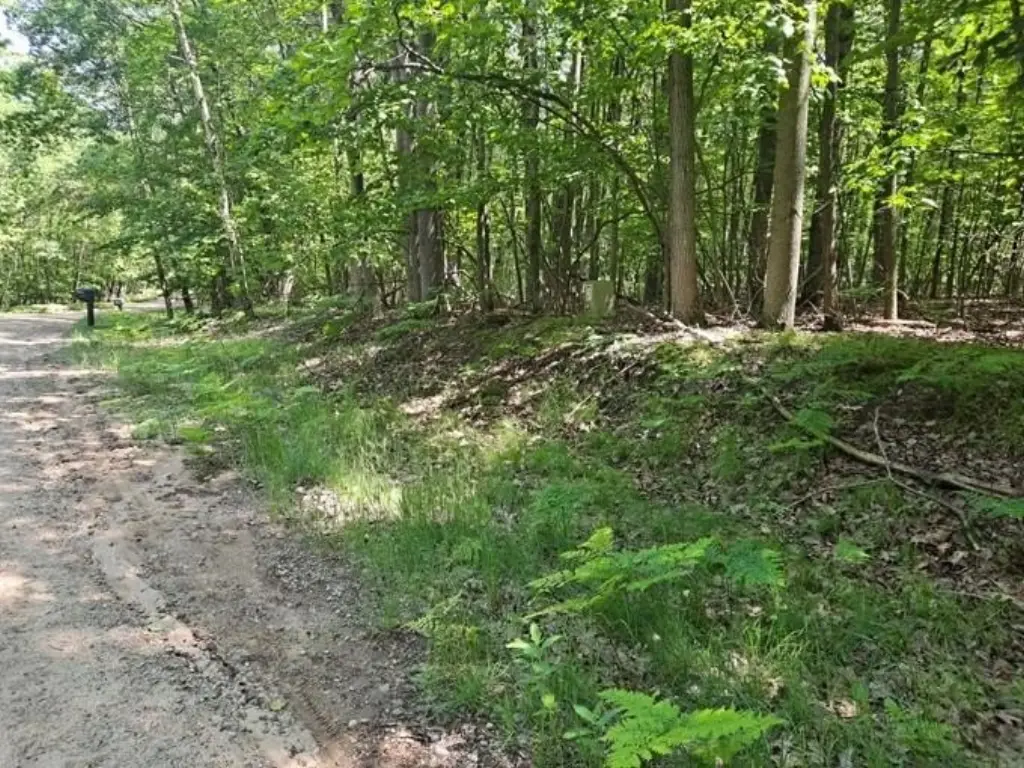 Picture 11