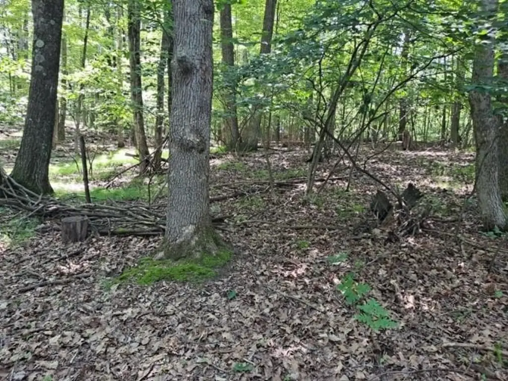 Picture 4