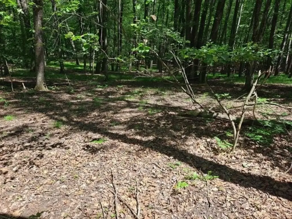 Picture 10