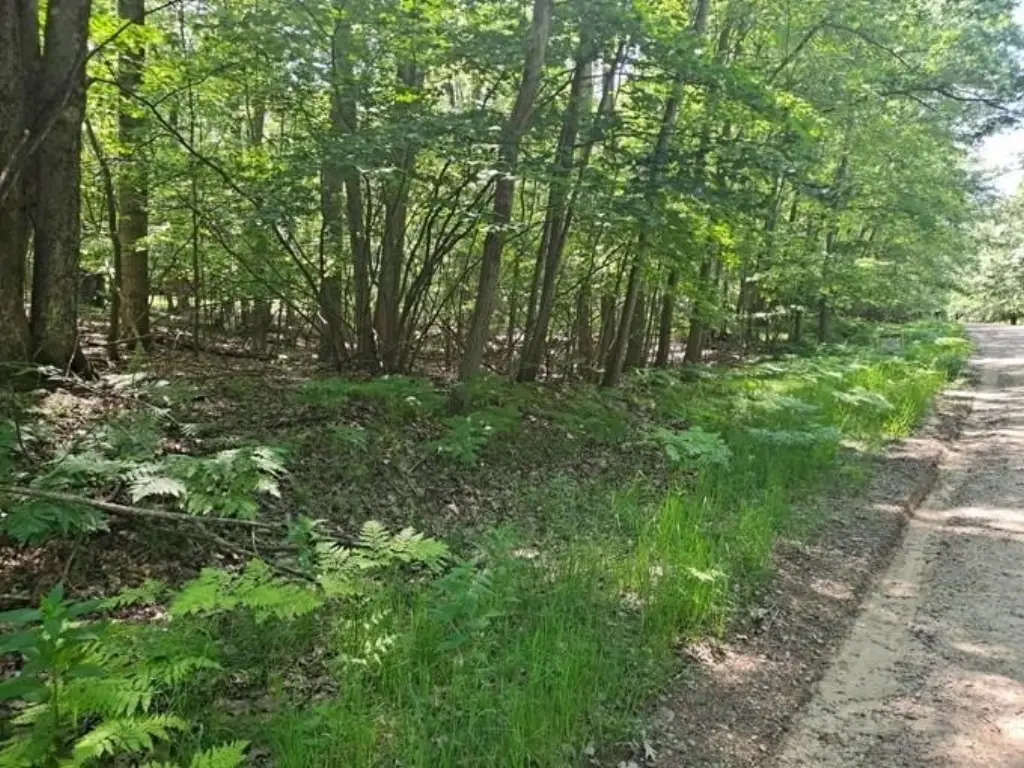 Picture 14